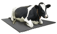 cow mat