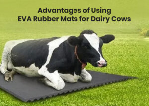 EVA Rubber Mats