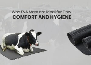 cow-mats