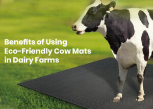 Eco-Friendly Cow Mats